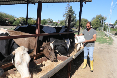 e-Devlet’ten yaptığı başvuru Adanalı teknisyeni süt çiftliği sahibi yaptı