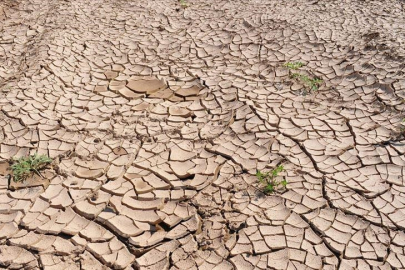 Adana son 52 yılın en kurak yılını yaşadı: Yağışlar yüzde 26 azaldı