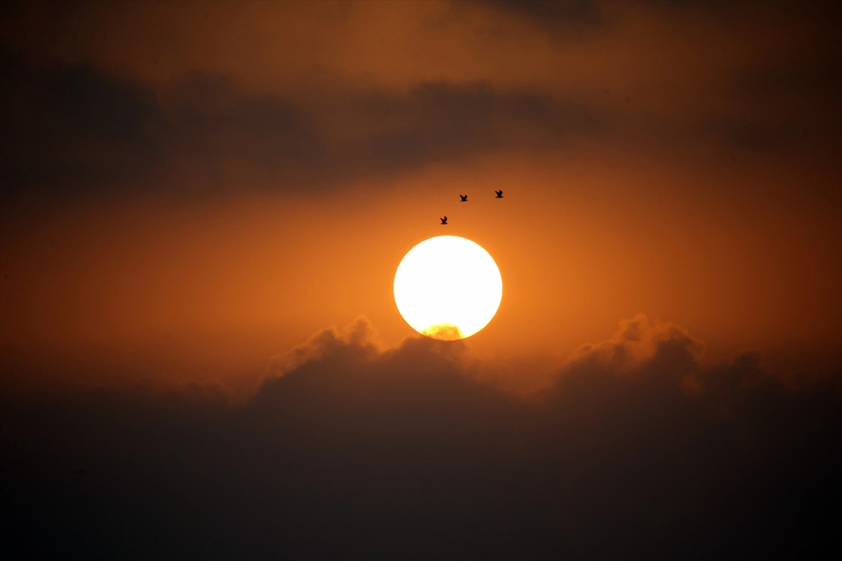 Adana Yumurtalık Lagünü’nde Sonbahar Göçü