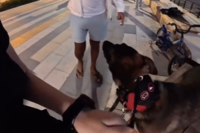 Köpeği tutup "Keserim, git buradan" diye tehdit etti, sosyal medyada izleyenler tepki gösterdi