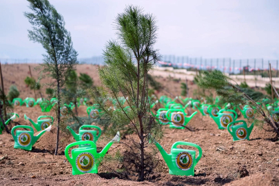 Yeşil miras için dev adım: 11 Kasım’da fidanlar dikiliyor