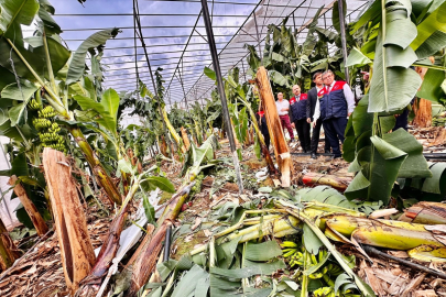 Mersin İl Tarım Müdürü Erdem Karadağ, Bozyazı’da Hortumdan zarar gören seraları inceledi