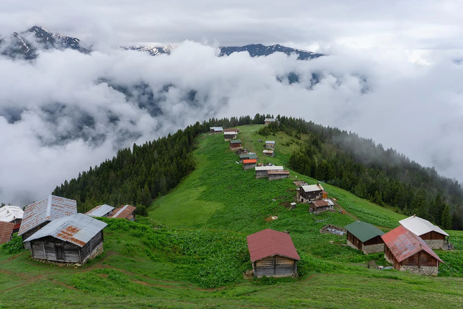Doğu Karadeniz’in Büyüleyici Doğası ve Kültürel Zenginlikleri
