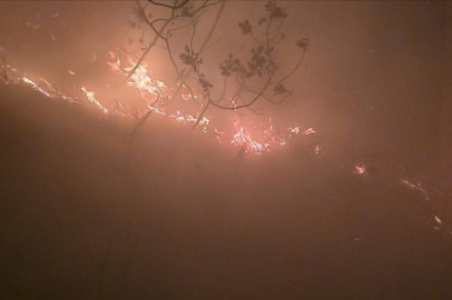 Hatay'da ormanlık alanda yangın çıktı