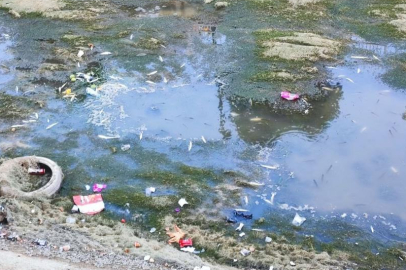 Adana kanallarında balık ölümleri sürüyor