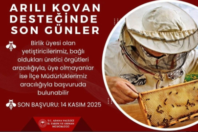 Adana’da arılı kovan desteği için son gün uyarısı