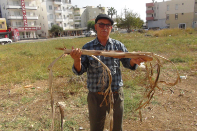 Silifke’de dikkat çeken iddia: “Suyu bulunca bedenimde elektriklenme oluyor
