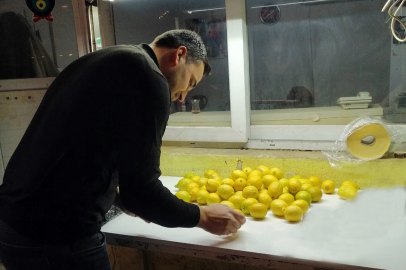 Osmaniye’den dünyaya güvenli meyve ve sebze