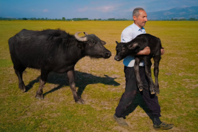 Türk fotoğrafçı dünya ikincisi oldu, vize engeline takıldı