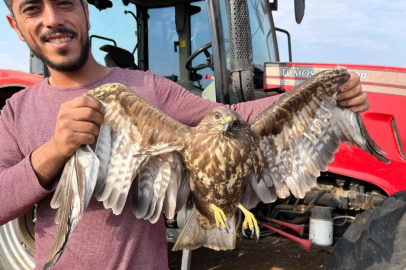 Hasadı bıraktı şahinin yardımına koştu