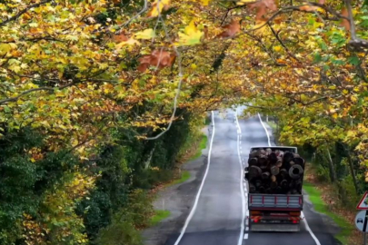 Karabük’te sonbahar manzaraları büyüledi