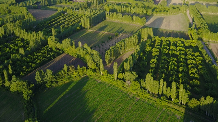 agrı irem yaylaları