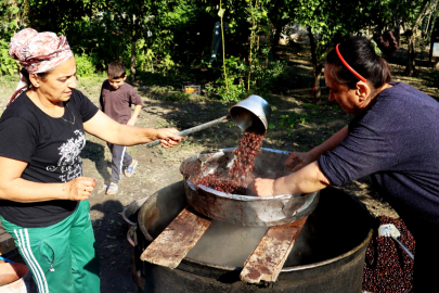 Doğanın gizemli hazinesi defne, büyük emeklerle yağa dönüşüyor