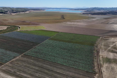 Kuraklığın vurduğu Seyhan Baraj Gölü'nün çevresi tarım arazisi oldu üretim başladı