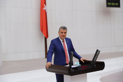 Barut: Hurma ve greyfurt üreticileri göz ardı edilemez, üretici bazlı destek şart