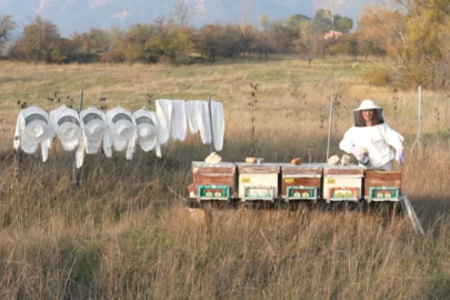 Gelin Evi'nde bir ilk: Şevval gelin misafirlerini on bin arının arasında karşıladı