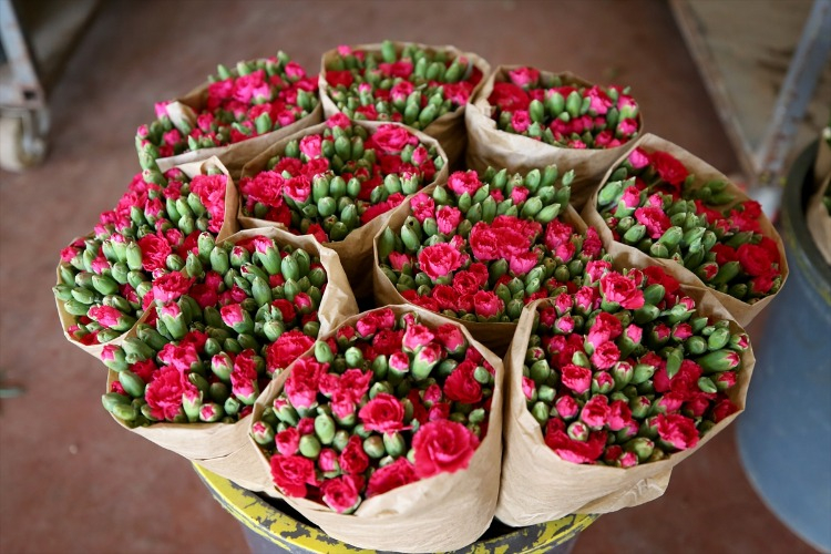 İhracat 137 milyon dolara ulaştı, 80 ülkeye satış yapılıyor