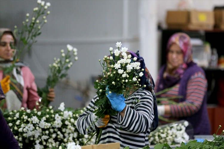 Sektör talebe göre üretim yapıyor: “Alıcı ne isterse Türkiye’de bulunuyor”