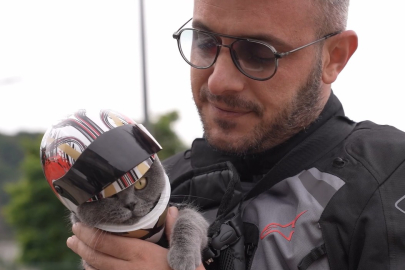 Gelinlikli ve kasklı kedi Gofret İstanbul'un yeni fenomeni oldu!