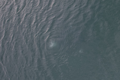 Sapanca Gölü’nde ‘kaynayan su’ paniği: Kabarcıklar deprem endişesini artırdı