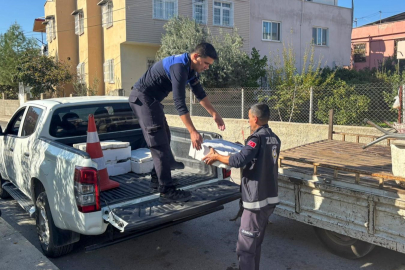 Tarsus’ta sağlıksız taşınan 250 kilo balık ele geçirildi