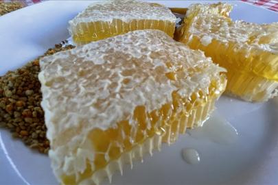 Yenice ıhlamur balı, Avrupa Birliği’nden coğrafi işaret tescili aldı