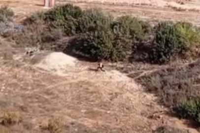 Adana’da kesinleşmiş hapis cezası bulunan kişi kovalamacayla yakalandı