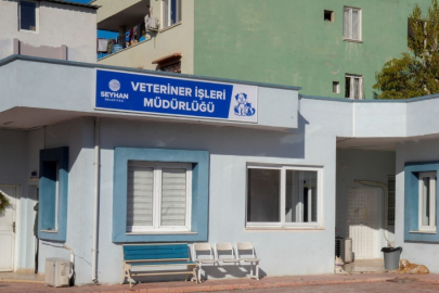 Seyhan Belediyesi, sokak hayvanlarının usulsüz toplandığı iddialarını yalanladı