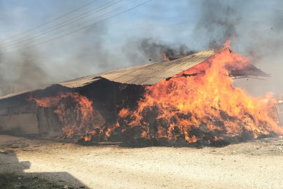 Adana Sarıçam’da samanlık yangını kısa sürede söndürüldü
