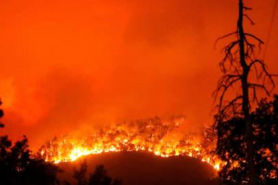 İran’dan orman yangınlarıyla mücadelede yardım talebi: Türkiye 2 uçak gönderiyor