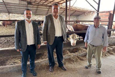 Gürer: Besici desteklenmezse Türkiye’nin et–süt sorunu kalıcı hale gelir