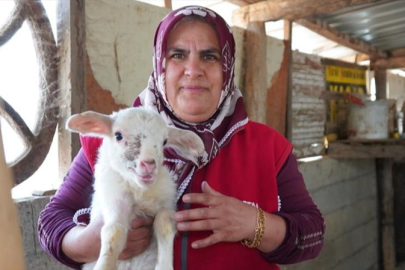İki çocuk annesi kadın, çobanlık ve servisçilikle ailesini geçindiriyor