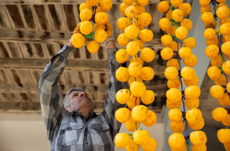 BAHÇEDEN DAMA UZANAN YOLCULUK