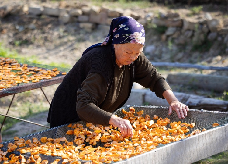 DOĞAL YÖNTEMLERLE KURUTULUYOR