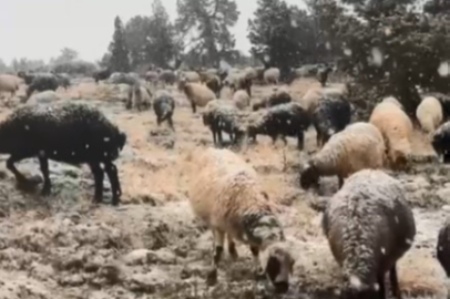 Mersin’in yüksek kesimlerine mevsimin ilk karı düştü