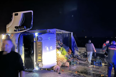 Adana'da kamyonet devrildi: 1 yaralı