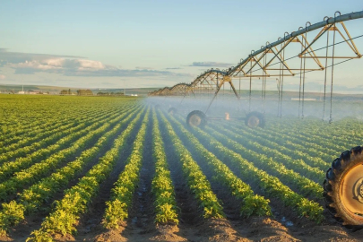 TMO raporu: Gübre fiyatları ekimi etkiledi, Adana’da üretici kompoze gübreye yöneldi