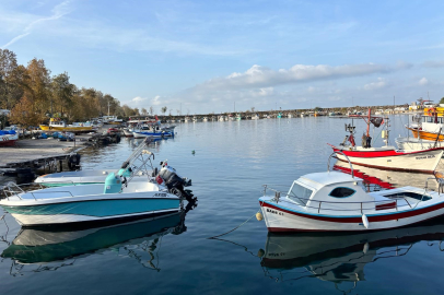 Trabzon kıyılarında köpek balığı hareketliliği artıyor