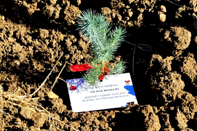 Şehitlerin hatırası doğada yaşayacak