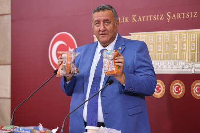Gürer: Üretici desteklenmeli, ithalata bağımlılık sona erdirilmeli