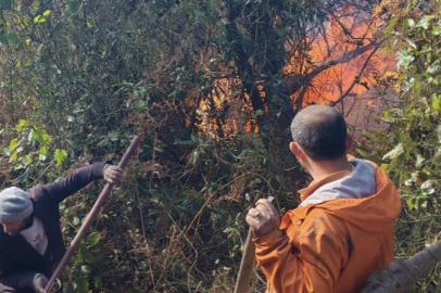 Hopa’da orman yangını rüzgarla büyüdü: Ekipler 5 hektarlık alanda alevlere karşı mücadelede