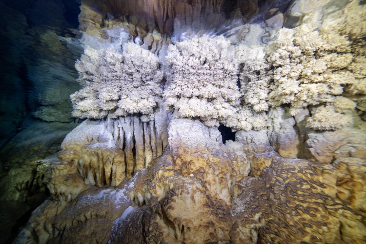 “Efsanevi bir su altı dünyası”