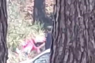 İzmir’de bir kadın ormanlık alanda darbedildi