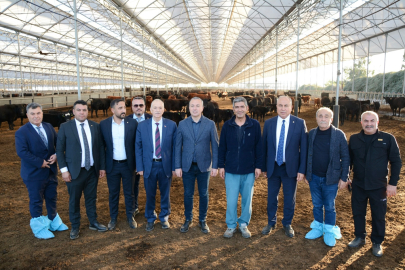 Sivas heyeti Adana’da hayvan mezatı projesini inceledi