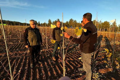 Binlerce ıhlamur fidanı geleceğe hazırlanıyor