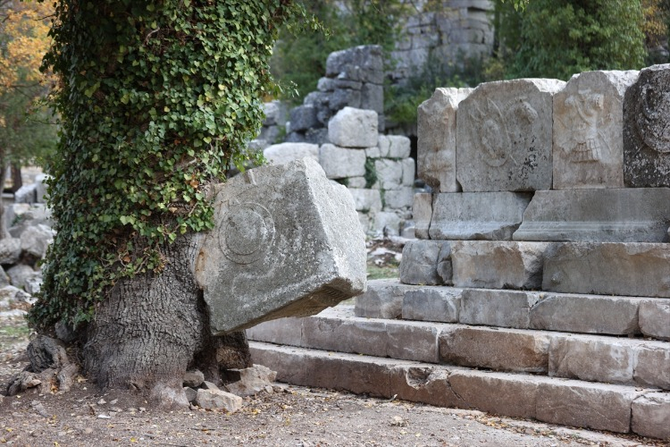 "Yaban hayatı da olduğu için belli bir saatte girişleri kapatıyoruz"