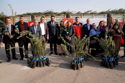 Engebeli ve atıl araziler ekonomiye kazandırılıyor