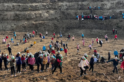 Kül olan ormanlar, çocukların dokunuşuyla hayata dönüyor