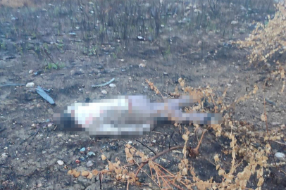 Mersin'de viyadükten düşen sürücü hayatını kaybetti