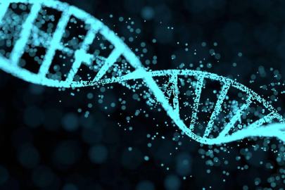 Erkekler yok mu oluyor? Bilim insanlarından çarpıcı uyarı: Erkekliği belirleyen Y kromozomu milyonlarca yıl içinde yok olabilir